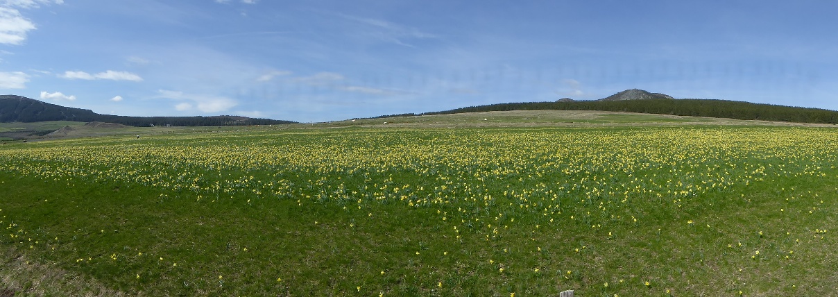 Croix de Boutières