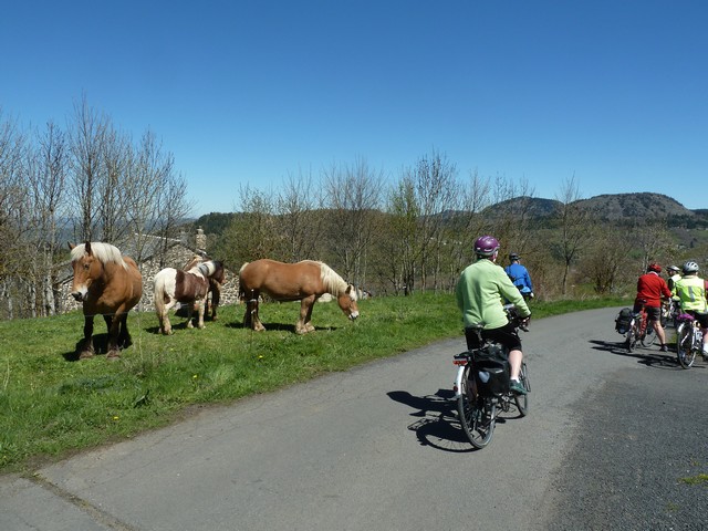 Bigorre