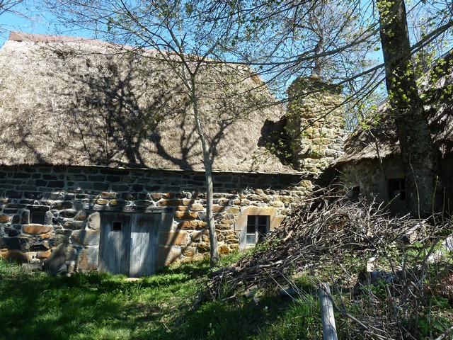 Bigorre