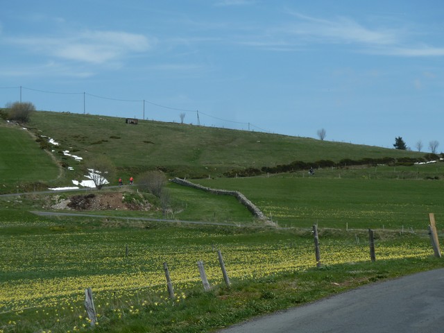 Haute-Loire