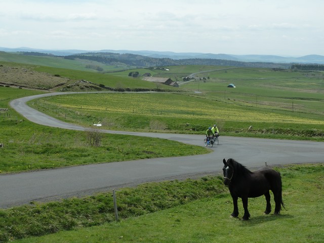 Haute-Loire