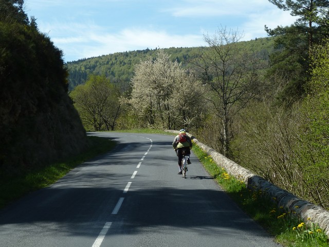 Haute Loire