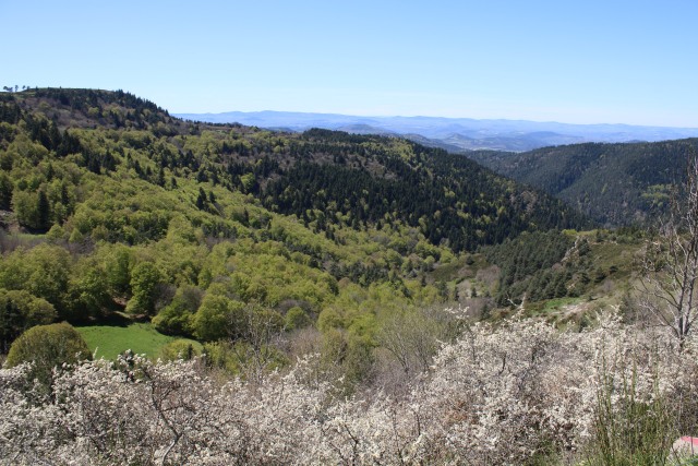 Haute-Loire