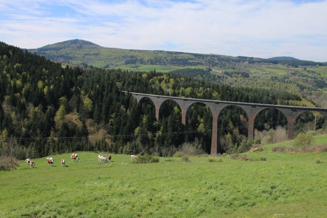 Haute-Loire