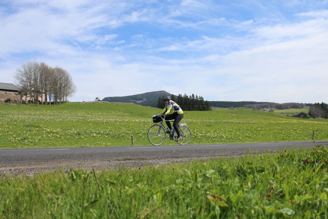 Haute Loire