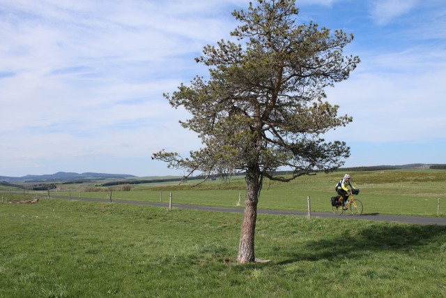 Haute Loire