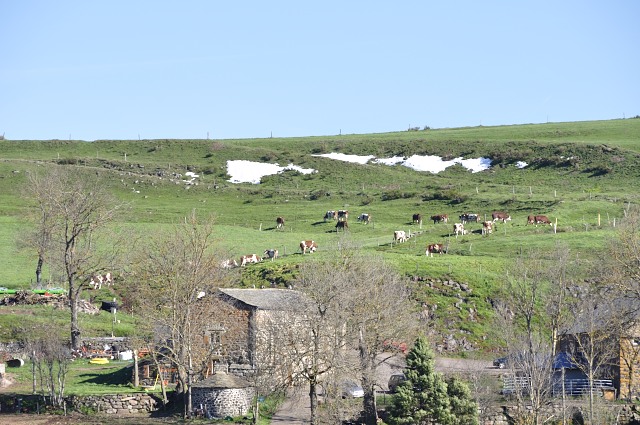 Haute Loire