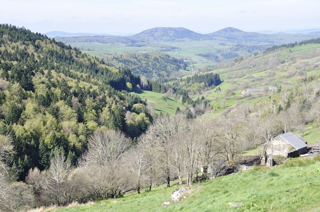 Haute-Loire