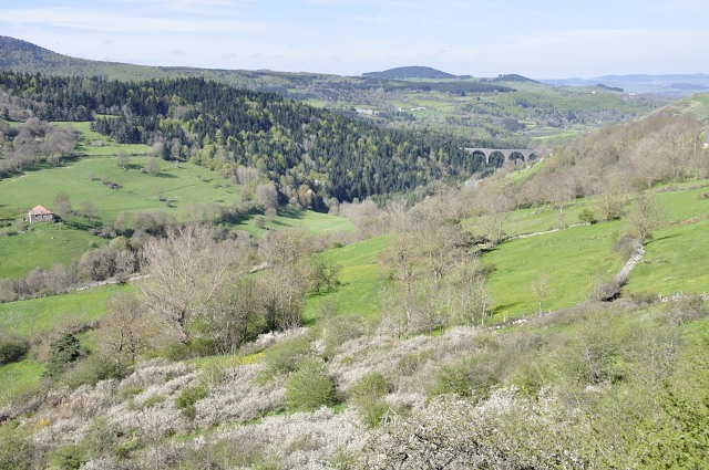 Haute-Loire