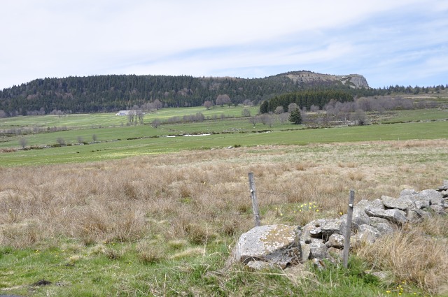 Haute-Loire