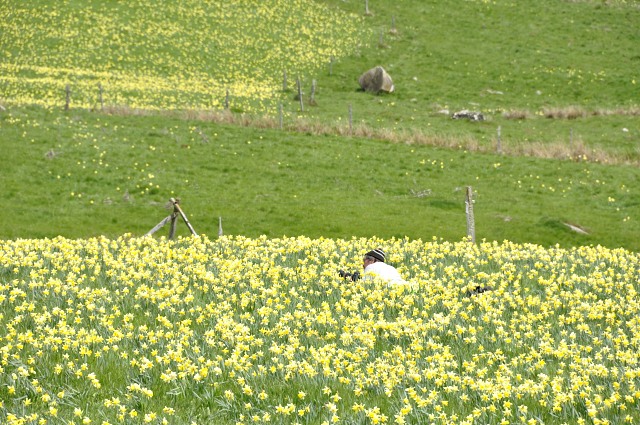 Haute-Loire
