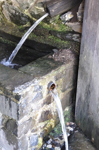 Gerbier de Jonc