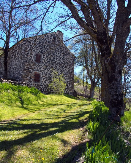 Bigorre