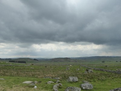 Aubrac