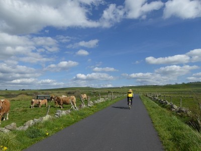 Aubrac