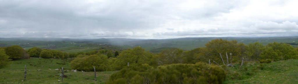 Aubrac