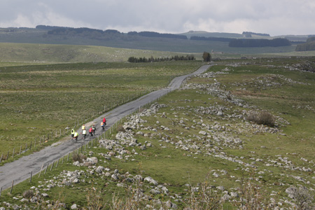 Aubrac