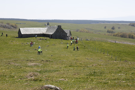Aubrac