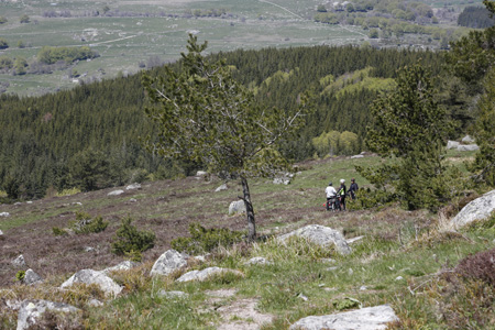 Le Randonneur