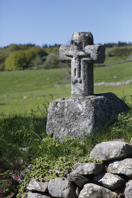 Aubrac