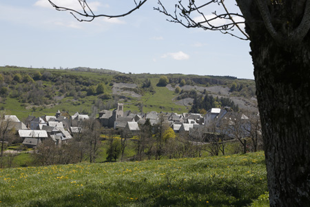 Aubrac