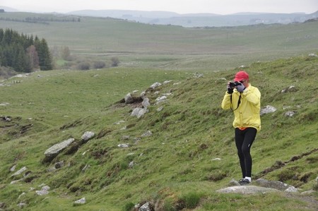 Aubrac