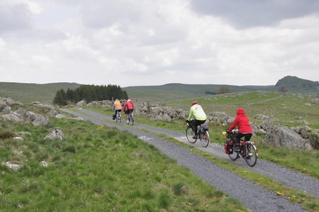 Aubrac