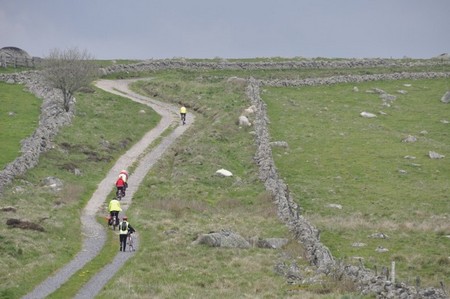 Aubrac