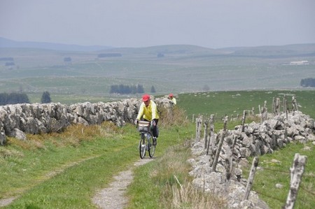 Aubrac
