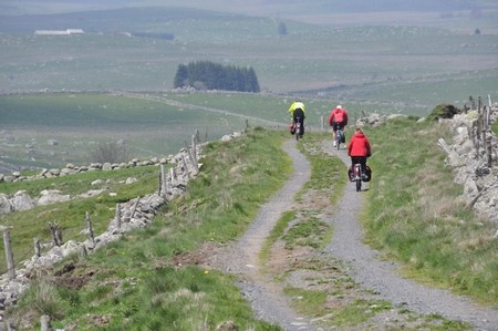 Aubrac