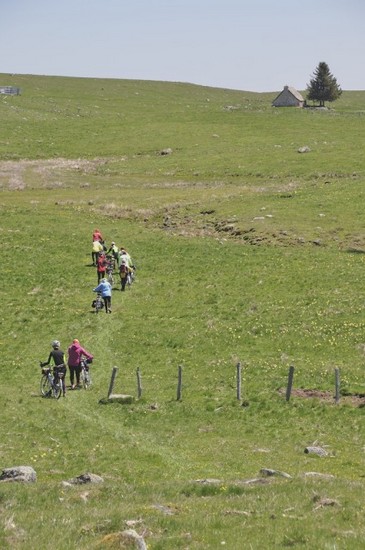 Le Randonneur