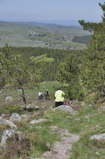 Aubrac