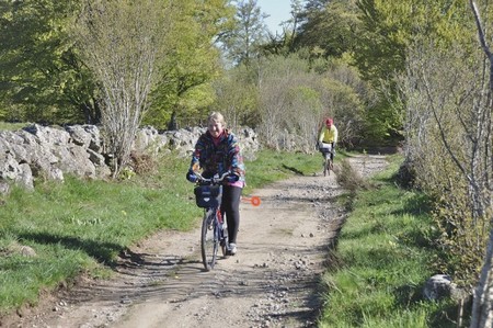 Aubrac