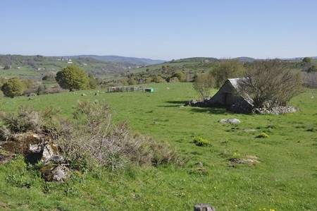 Aubrac