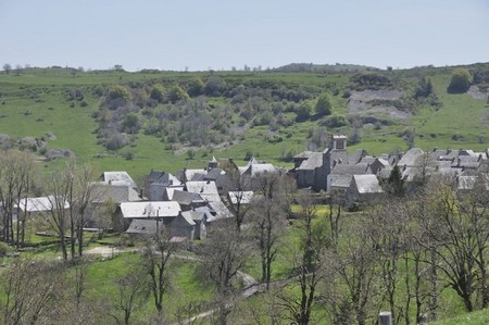 Aubrac