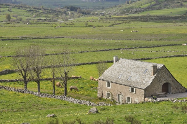Aubrac