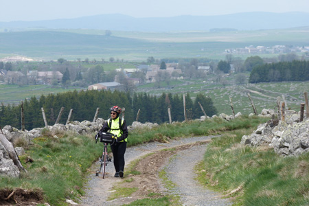 Aubrac
