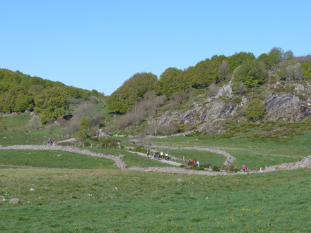 Aubrac