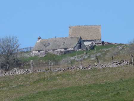 Aubrac