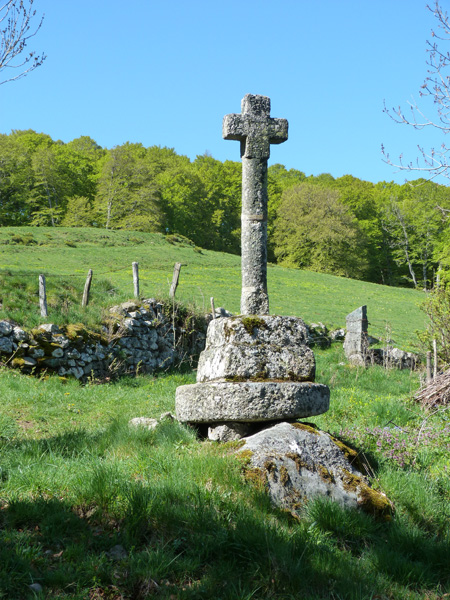 Aubrac