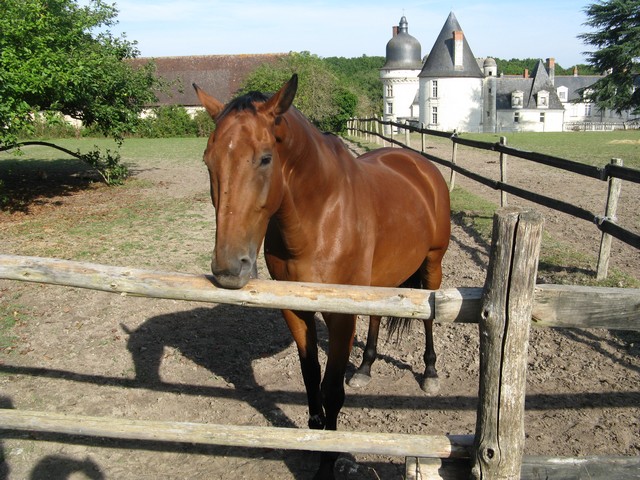 Monthou