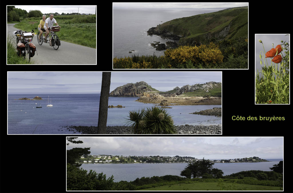 Le Randonneur : Ploumanach