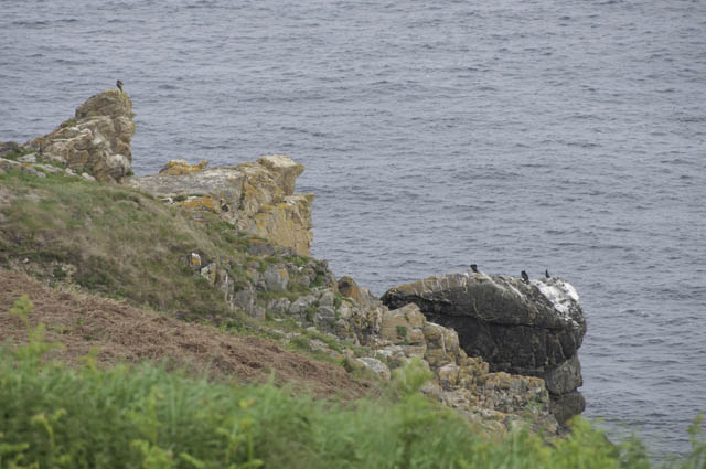 Cote des Bruyères