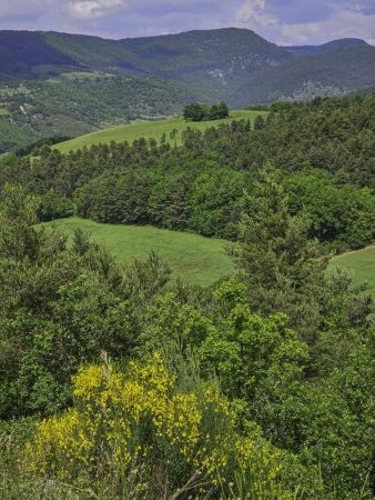 Retour sur Nant (MLC)
