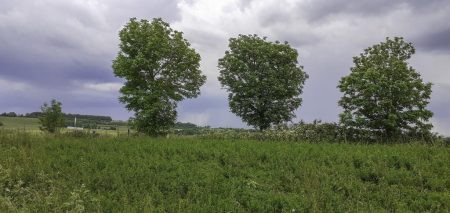 L'orage s'écarte (JMR)