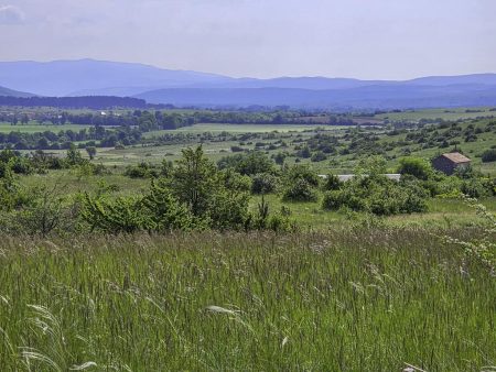 Vue sur le Causse (MLC)