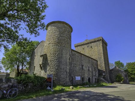 Viala-du-Pas-de-Jaux (MLC)