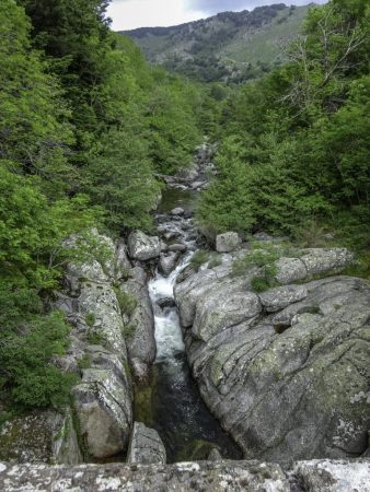 La Dourbie depuis le pont de Dourbies (JMR)