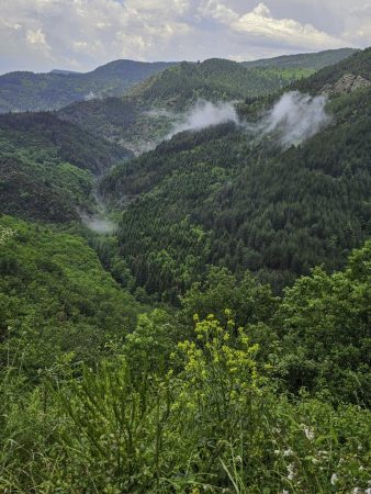L'orage est derrière nous (MLC)