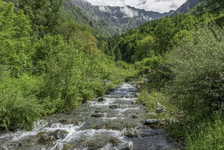 Le torrent (SP)